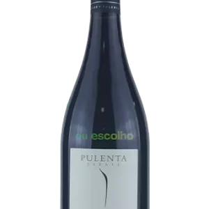 Pulenta Estate IX Pinot Noir 2022