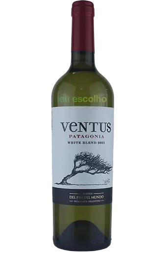 Ventus Patagonia White Blend 2023