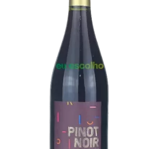 P Ferraud & Fils Pinot Noir 2023
