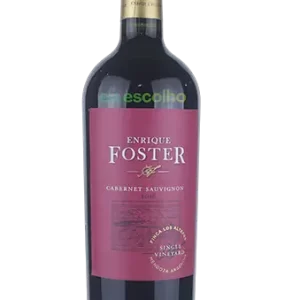 Enrique Foster Single Vineyard Los Altepes Cabernet Sauvignon 2018